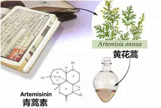 平博在线,平博(中国)：向中医药看齐，与世界共享中医药文化(图1)